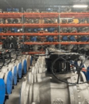 Swing Check Valve