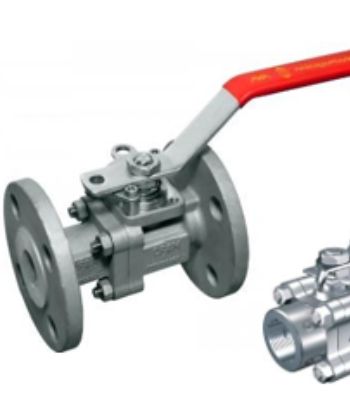 Swing Check Valve